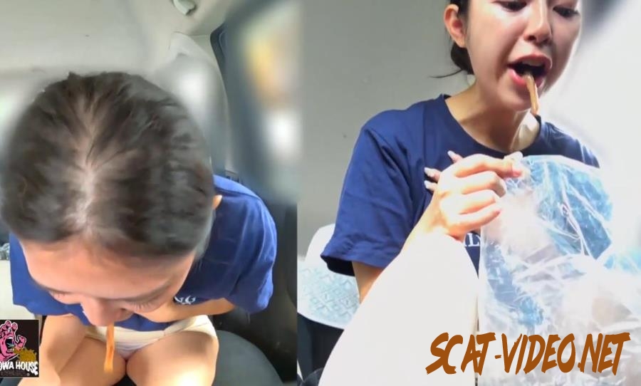 BFJV-176 Don’t Vomit in My Car 私の車の中で嘔吐しないでください (2025) [FullHD/1.5877_BFJV-176]