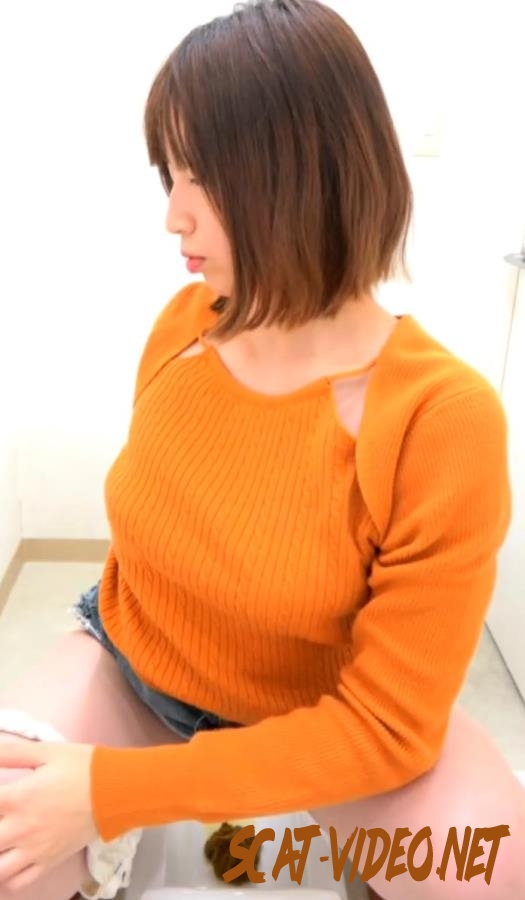 BFSR-683 Voyeur Farting and Shitting in the Toilet トイレでオナラとウンコをする盗撮 (2025) [FullHD/1.5974_BFSR-683]
