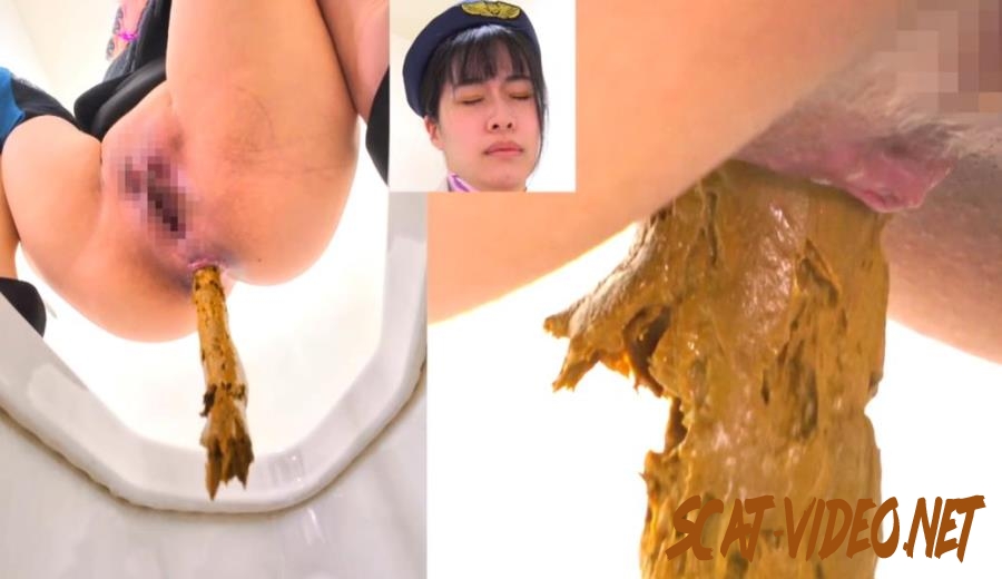 BFEE-301 Long Shit on Western and Japanese Style Toilets (2025) [FullHD/1.5824_BFEE-301]