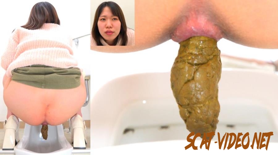 BFSR-701 洋式トイレと和式トイレにウンコをする Farting and Shitting in the Toilet (2025) [FullHD/1.6028_BFSR-700]