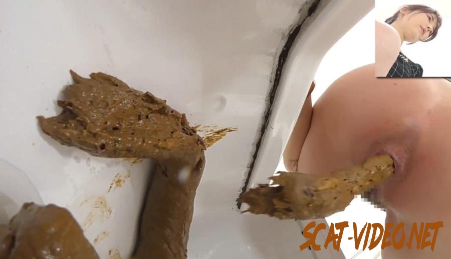 BFEE-320 洋式トイレと和式トイレでウンコする Long Shit Japanese Toilets (2026) [FullHD/1.6099_BFEE-320]