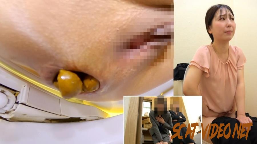 BFSL-313 トイレで排便する Defecating in the Toilet (2026) [FullHD/1.6191_BFSL-313]